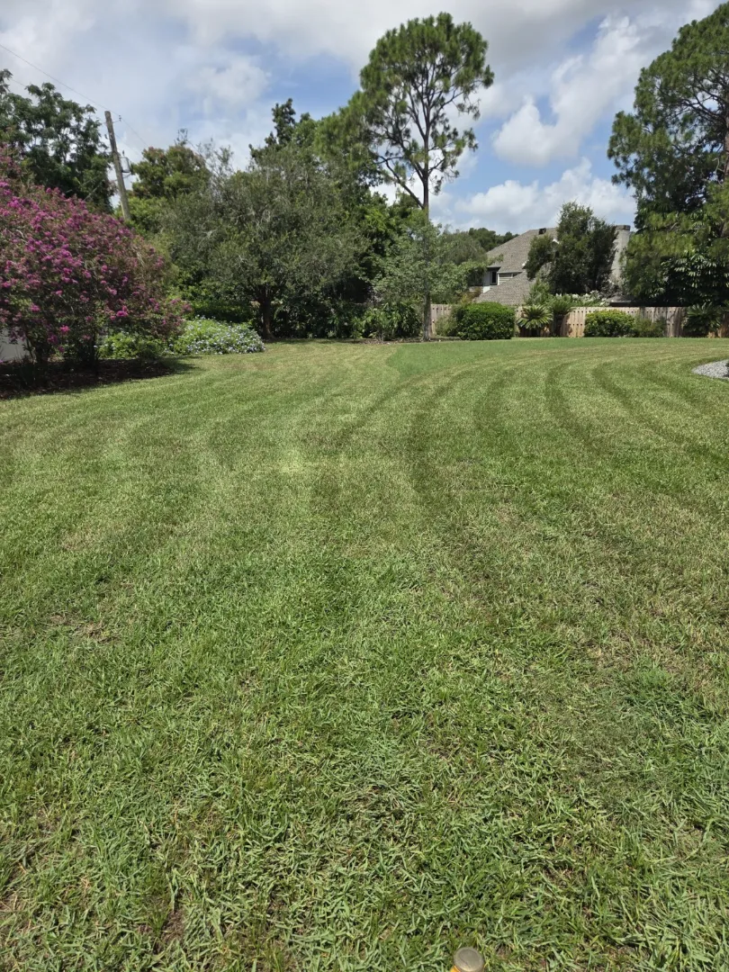Freshly mowed lawn with visible mowing lines showcases expert lawn care, bordered by trees, bushes, and a house in the background under a partly cloudy sky.