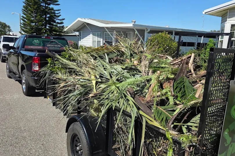 A black pickup truck towing a trailer filled with assorted yard waste, including branches and palm fronds, is parked on a residential street near houses—a typical scene after routine lawn care or landscape maintenance.